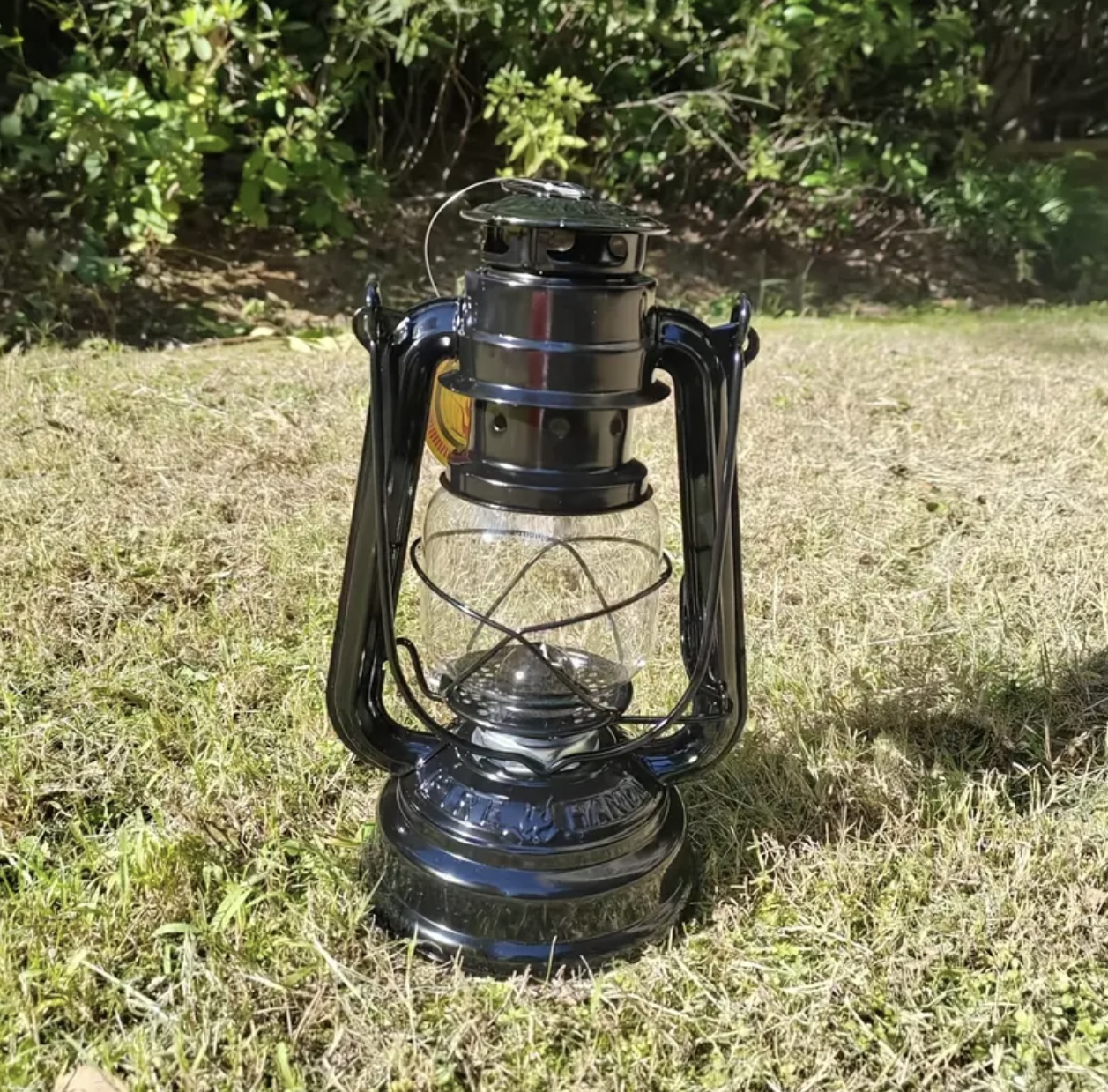 Feynuus somali traditioneel